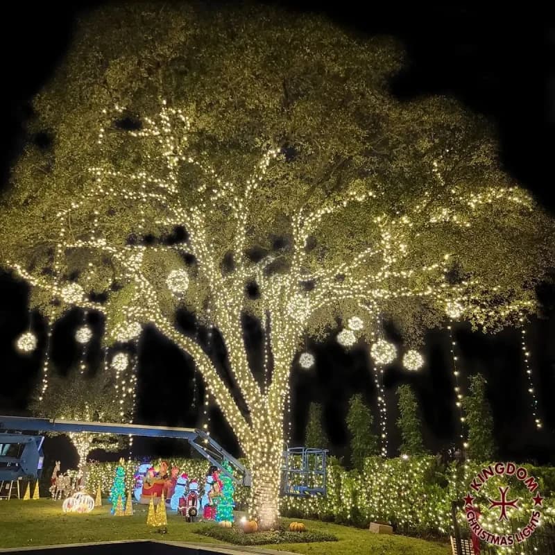 Tree wrapping and landscape accent lighting at twilight