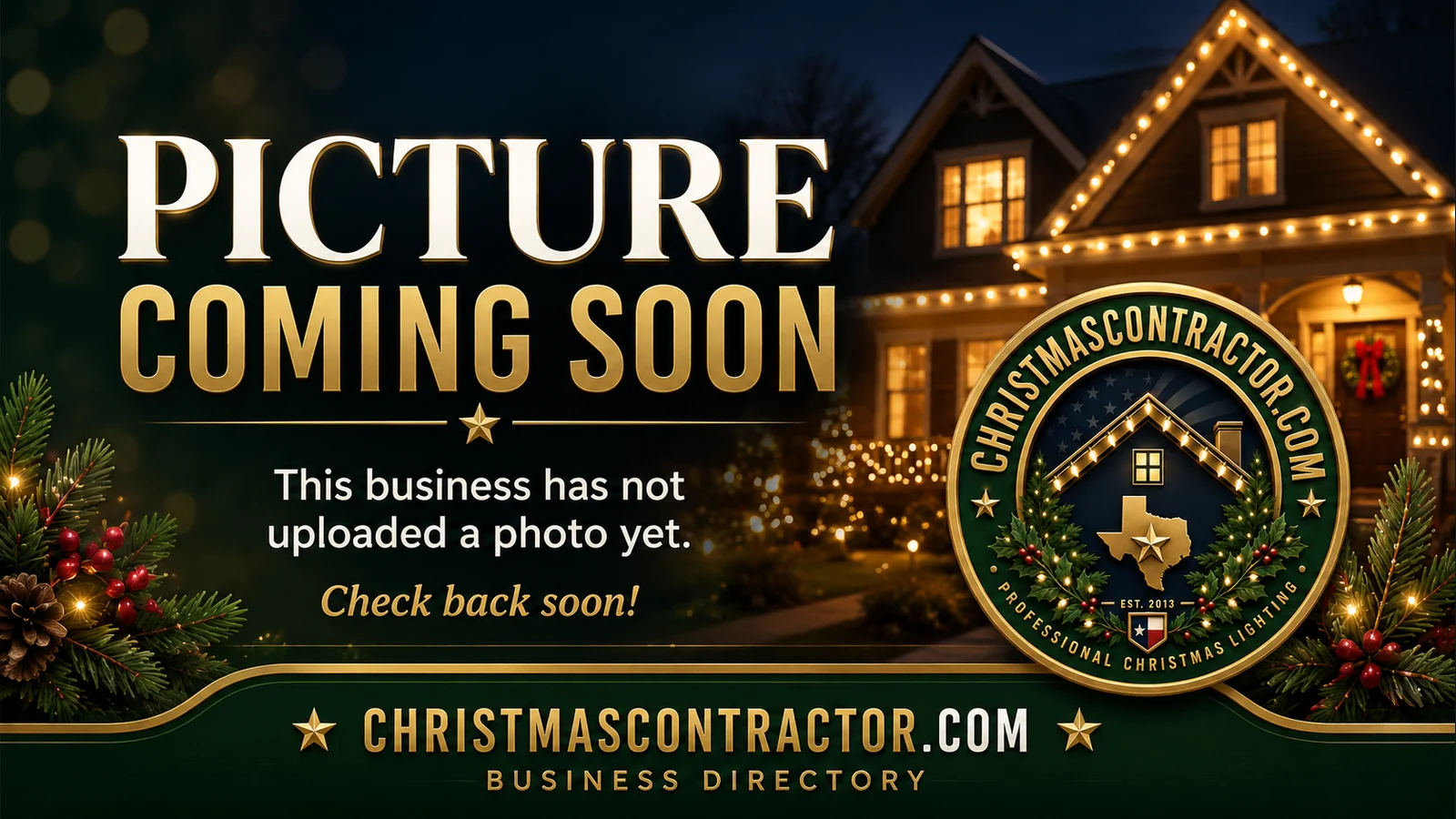 Christmas Light Installation